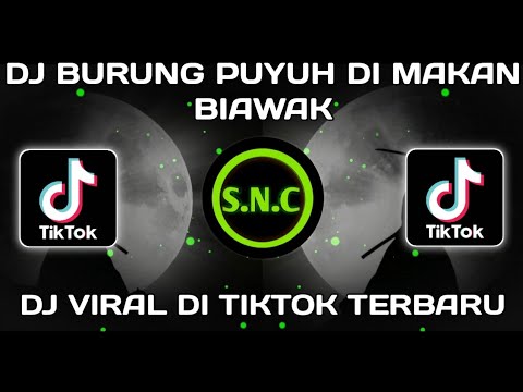 DJ BURUNG PUYUH DI MAKAN BIAWAK X GASOLINA X PANTEK PANTEK VIRAL DI TIKTOK FYP 2022