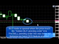 Forex - Adding & Editing Q-OCO Orders
