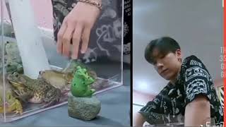 WayV  with Frog // WayV Dream Plan