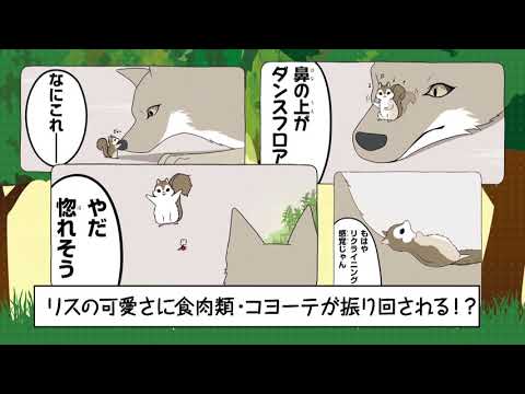 『Hush Hush ある日のリスとコヨーテ』コミックスCM
