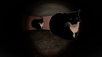 try to run away from maxwell cat in night maze