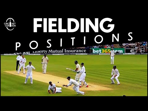 Different Fielding Positions in a Cricket Field Explained | Cricket Field Structure