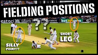 Learn All The Fielding Positions In Cricket Under 8 Minutes - English