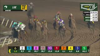 Vidéo de la course PMU PRIX SOC. HIPICA LUIS COUSINO