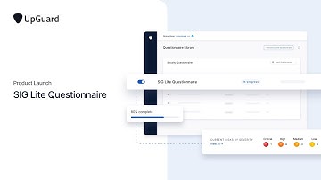SIG Lite Questionnaire