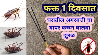 किचन मध्ये हा उपाय करा आणि घरातील झुरळ कायमचे घालवा / marathi kitchen / cockroach bhagane ka tarika