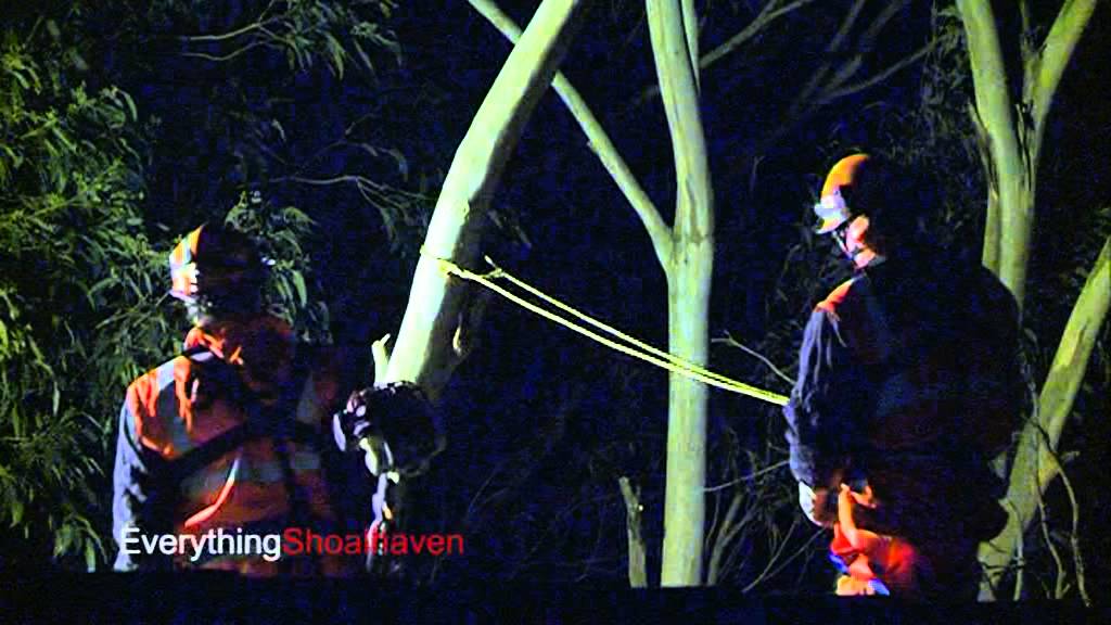 SES removing tree after crashing into house - YouTube
