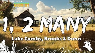 Download Lagu Luke Combs, Brooks \u0026 Dunn - 1, 2 Many (Lyrics/ Letra) MP3