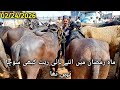 جھوٹیوں کے ریٹ اسمان کو چھونے لگاۓ #mundy #foryou #viral #punjabimundapunjabi1122 
