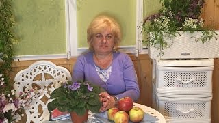 И. П. Неумывакин расплата за просвещение !!! И. П. Неумывакин расплата за просвещение !!!