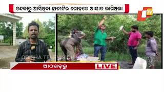 Treatment of ailing tusker underway in Athagarh