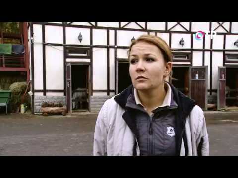 За дело на ОТР. Иппотерапия: реабилитация детей со сложными заболеваниями (01.11.2014)