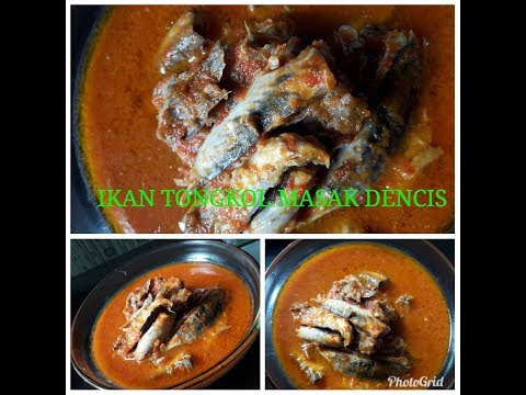 resep-ikan-tongkol-masak-dencis