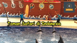 5 Taman Safari di Indonesia Ini Wajib Kamu Kunjungi, Seru dan Edukatif.