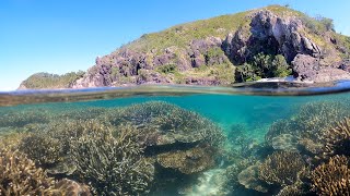 Exploring a Great Barrier Reef island: diving and beaching on Snapper Island