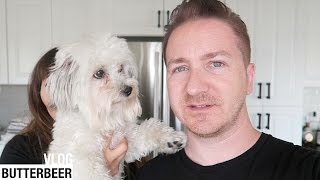 BUTTERBEER - VLOG