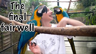 Download Lagu Visiting Mikey and Mia after 2 months!!! Their New Life At @wildzoologicalpark MP3 Download Lagu Visiting Mikey and Mia after 2 months!!! Their New Life At @wildzoologicalpark MP3