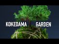 Make A Kokedama Hanging Garden