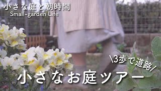 【ガーデニング初心者】小さな庭と家庭菜園｜4月のガーデンツアー｜オリーブとハーブの可愛い寄植え｜ナチュラルガーデン｜Introduce my small-garden｜April Japan