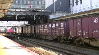 1053列車［新］EF210-162