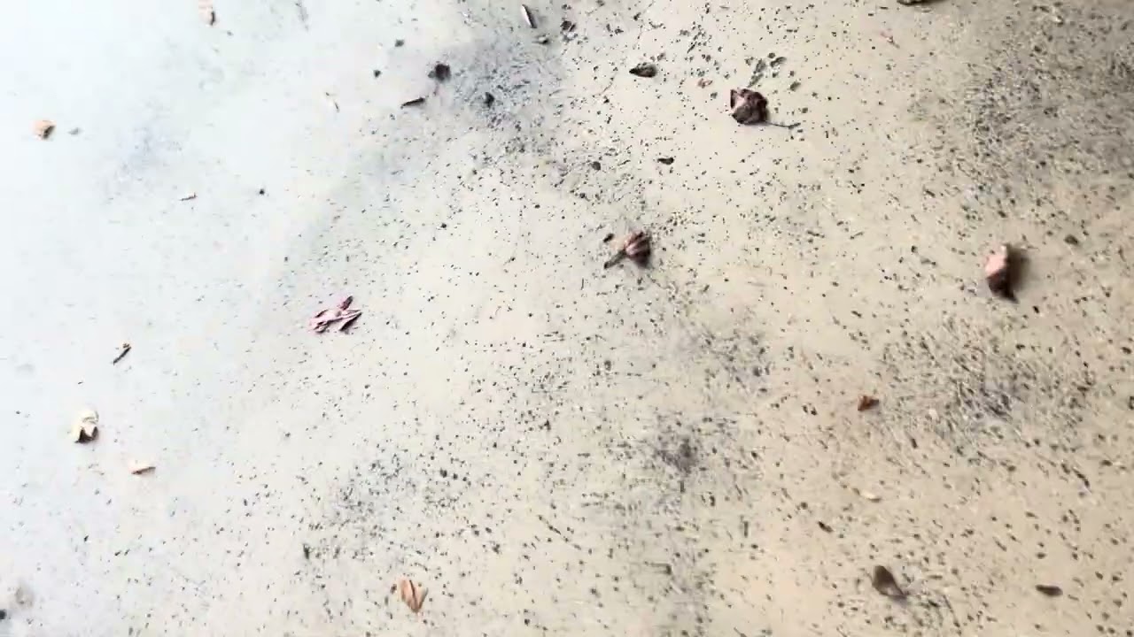 Two liftmaster 87504s and a 98022