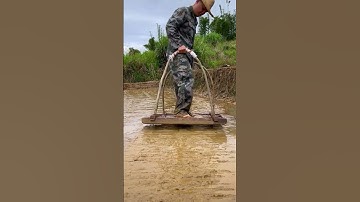 Rice seedbed leveling process- Good tools and machinery can increase work efficiency