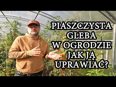 Sandy Soil in the Garden: How to Cultivate It?
