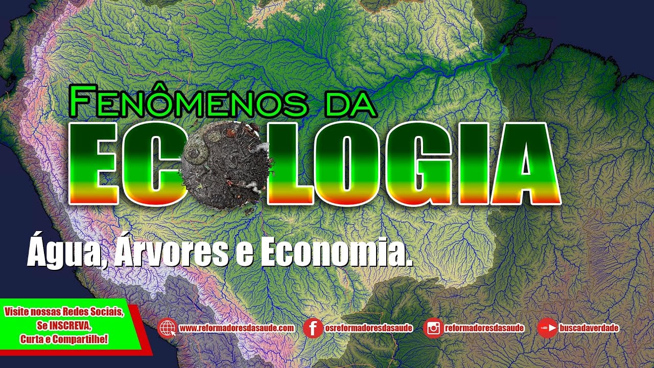 Vídeo: A economia é dependente das árvores e da água?