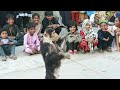 Monkey dance its beautiful  vlog