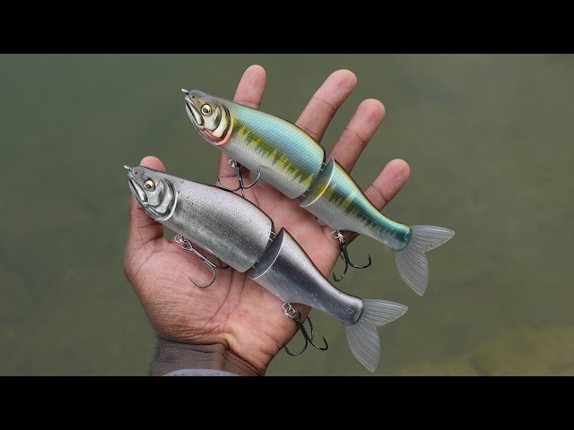 Top 15 Big Swimbaits For Beginners That Are Under $50! Beginner Swimbait  Fishing! 