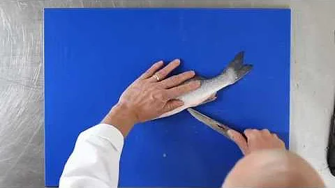How To Fillet Sea Bass
