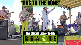 Official Lion of Judah – "Ras To The Bone" LIVE at Reggae on the Vine 2026