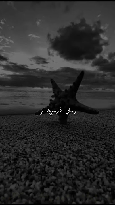 لو جاي في رجوع انساني 🦋🤎 تصميم فديو ستوري انستا حالات واتس اب