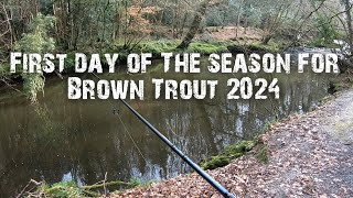 Brown Trout fishing with Lures, Opening day of the season