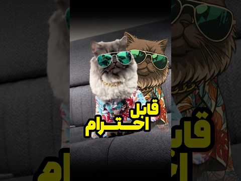 ما هم قابل احترامیم پنگول    ترند گربه  شاد گربه معروف