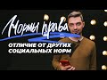 Чем отличается право от других социальных норм?