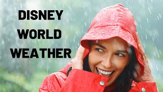 DISNEY WORLD WEATHER: How to prepare for an epic vacation and work around intense Orlando weather