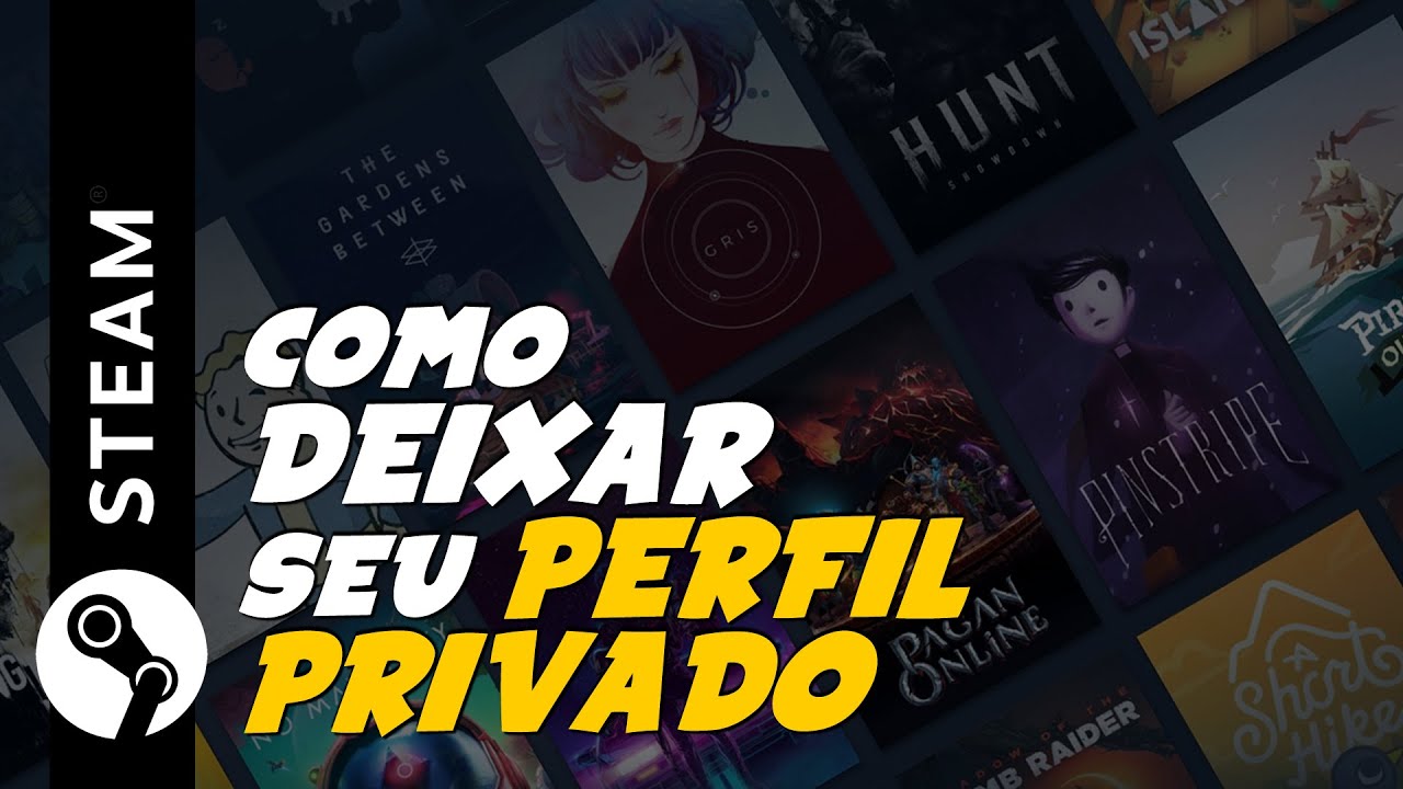 Steam Brasil - Nova opção de privacidade no Steam Agora é