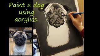 How to paint a Pug using acrylics (Step 1/3) - blocking in layer - paint with me and tutorial