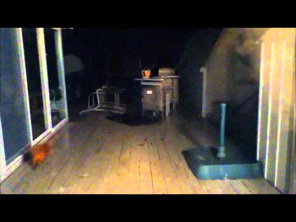 Nature strikes back the movie