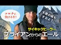 【日本語字幕付】フロリダ在住のサイキックヒーラー、ブライアン・シャイダーから日本の皆さんへ