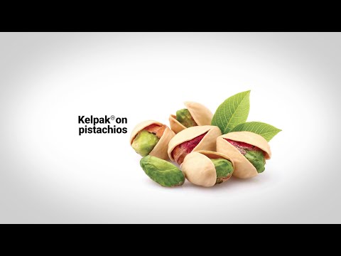 Video: Cov Khoom Xyaw Cheese Nrog Pistachios Hauv Walnuts