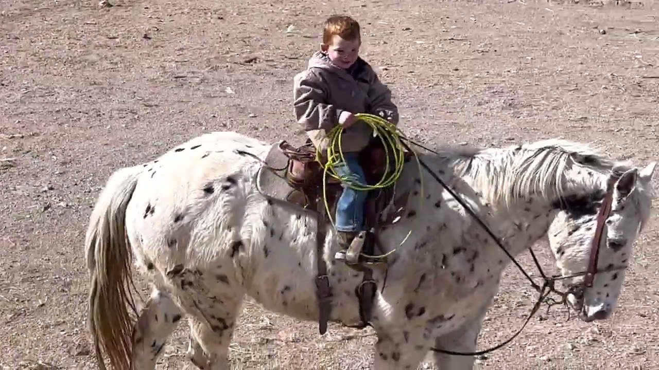 Ridgey bug’s 🌍 World