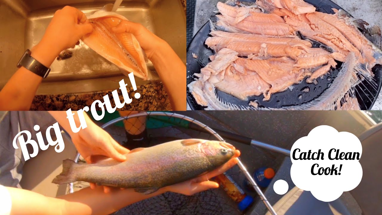 Big Rainbow Trout Fishing! {Catch Clean Cook}! YouTube
