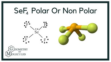 Is SeF4 Polar or Non-Polar? (Selenium Tetrafluoride)