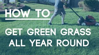 How To Fix An Ugly Lawn - Best Tips for Green Grass