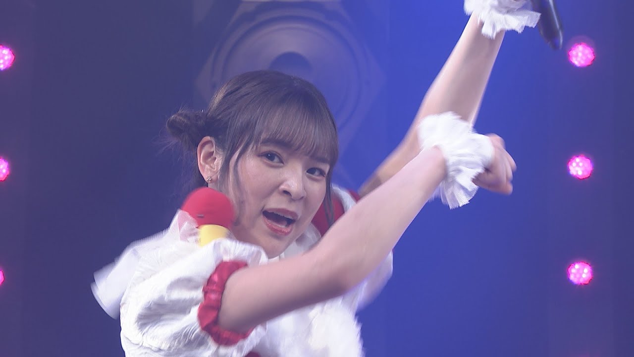 【豆柴の大群】「りスタート」「走れ豆柴」