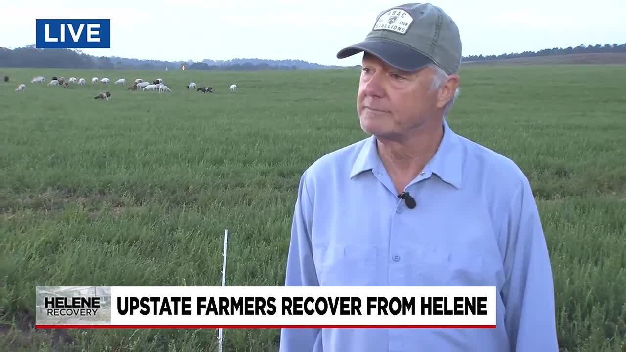 Upstate farmers recover from Hurricane Helene - YouTube