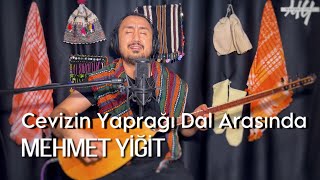 Mehmet Yiğit - Cevizin Yaprağı Dal Arasında ( canlı performans ) 4K Resimi