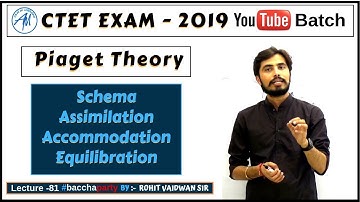 Piaget Theory Schema, Assimilation, Accommodation,Equilibration | CDP CTET 2019